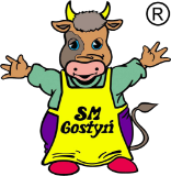 https://smgostyn.pl/