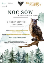 Noc Sów w Nadleśnictwie Piaski