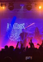 Punky Reggae Live 2026